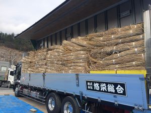 九州・阿蘇の茅